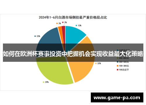 如何在欧洲杯赛事投资中把握机会实现收益最大化策略