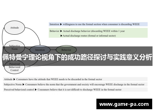 佩特曼宁理论视角下的成功路径探讨与实践意义分析