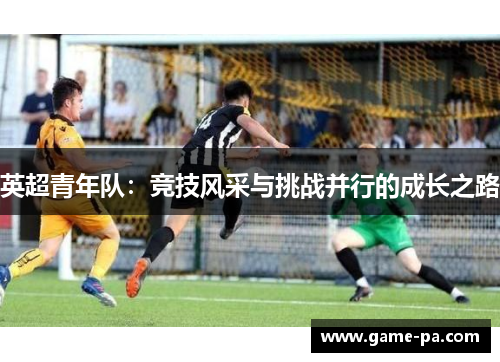 英超青年队：竞技风采与挑战并行的成长之路