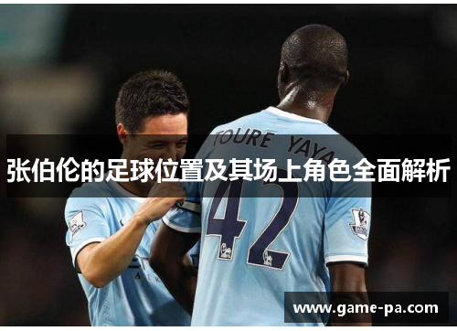 张伯伦的足球位置及其场上角色全面解析