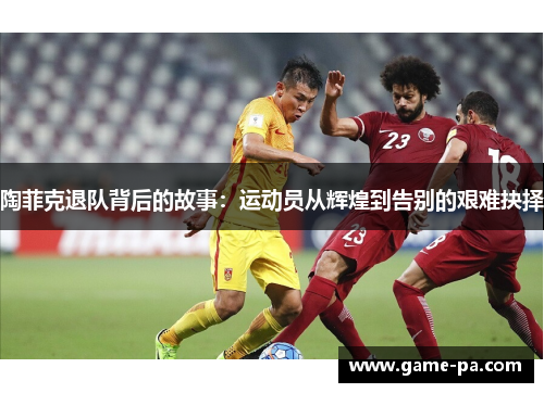 陶菲克退队背后的故事：运动员从辉煌到告别的艰难抉择