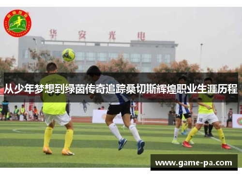 从少年梦想到绿茵传奇追踪桑切斯辉煌职业生涯历程 从少年梦想到绿茵传奇追踪桑切斯辉煌职业生涯历程