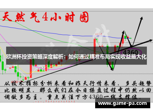 欧洲杯投资策略深度解析：如何通过精准布局实现收益最大化