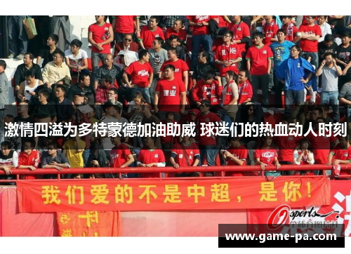 激情四溢为多特蒙德加油助威 球迷们的热血动人时刻 激情四溢为多特蒙德加油助威 球迷们的热血动人时刻