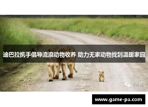 迪巴拉携手倡导流浪动物收养 助力无家动物找到温暖家园