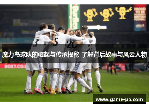 魔力鸟球队的崛起与传承揭秘 了解背后故事与风云人物