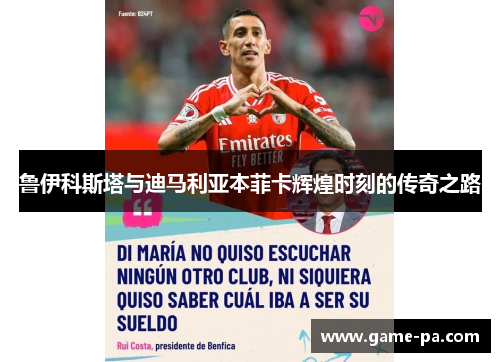 鲁伊科斯塔与迪马利亚本菲卡辉煌时刻的传奇之路